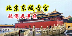 欧美黑人操美女逼视频中国北京-东城古宫旅游风景区